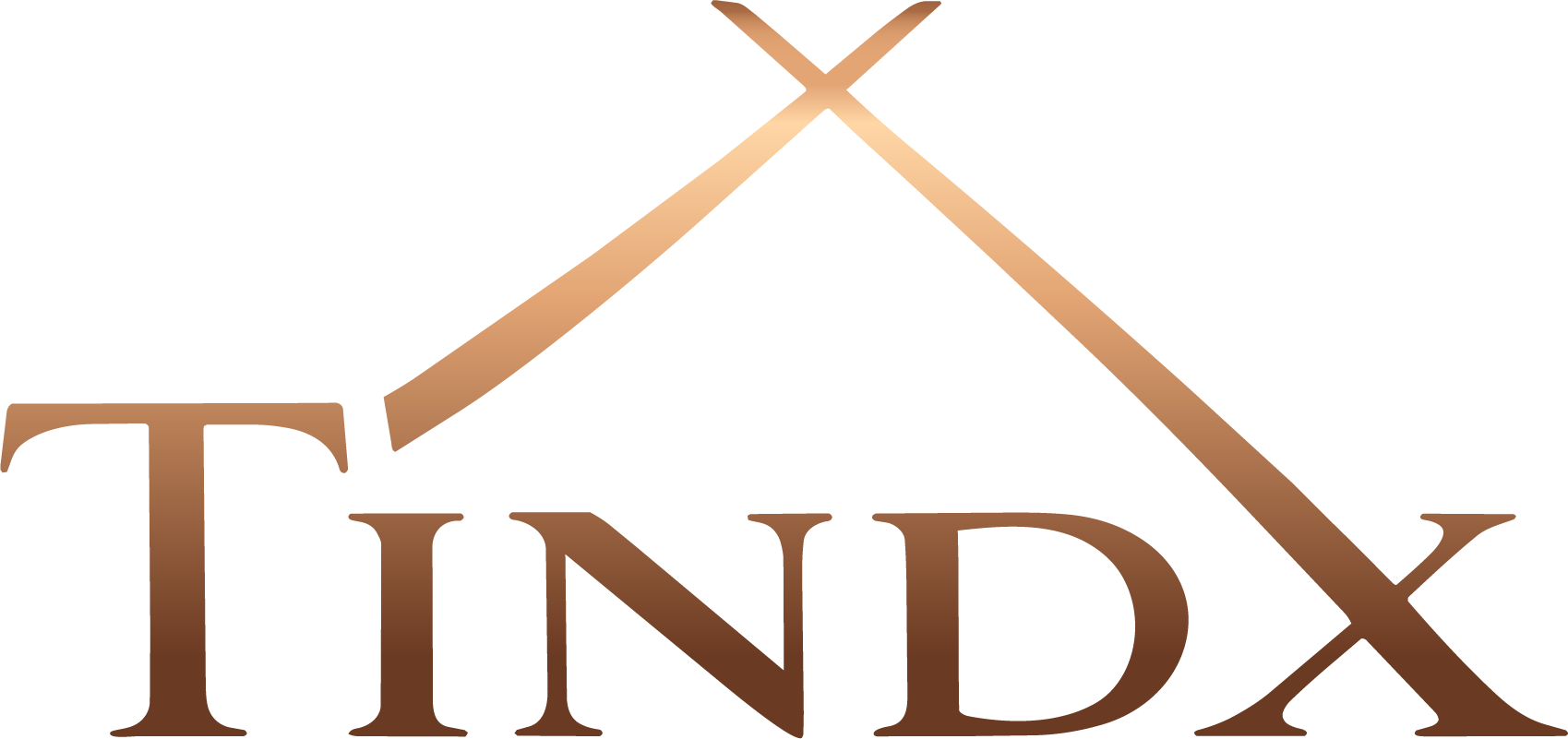 TINDX